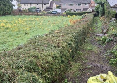 hunt s greenworks facebook gallery 10