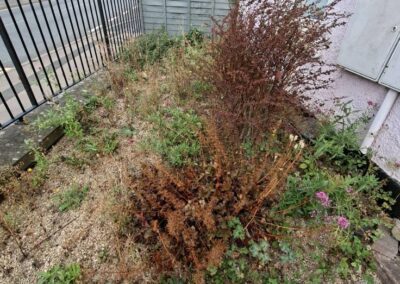 hunt s greenworks facebook gallery 18