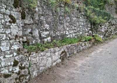 hunt s greenworks facebook gallery 20