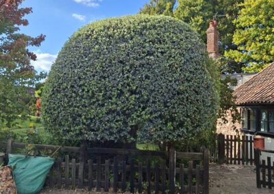 hunt s greenworks facebook gallery 23