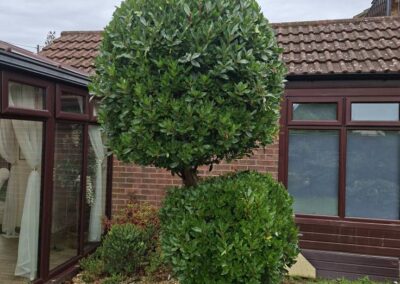 hunt s greenworks facebook gallery 25