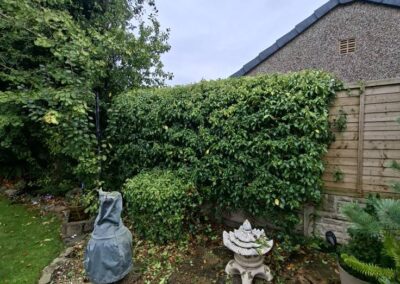 hunt s greenworks facebook gallery 26