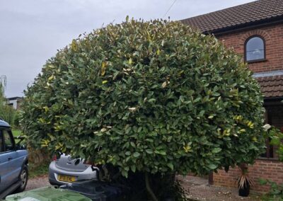 hunt s greenworks facebook gallery 27