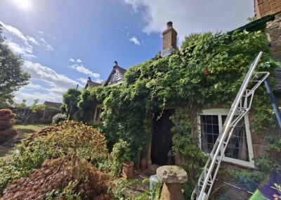 hunt s greenworks facebook gallery 35