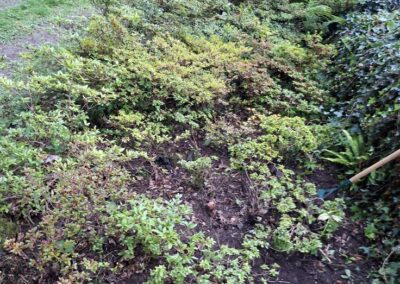 hunt s greenworks facebook gallery 41