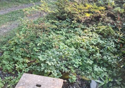 hunt s greenworks facebook gallery 42