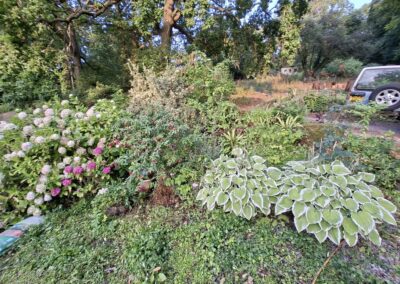 hunt s greenworks facebook gallery 43