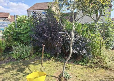 hunt s greenworks facebook gallery 45