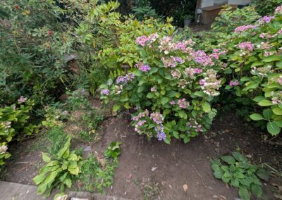 hunt s greenworks facebook gallery 51