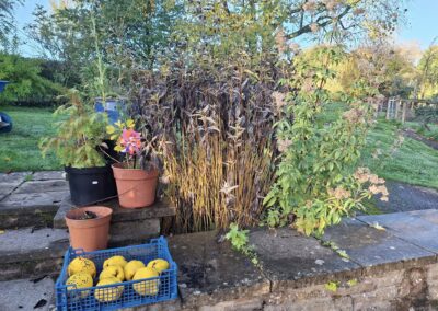 hunt s greenworks facebook gallery 7